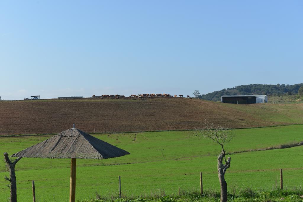 Herdade Dos Montes Bastos Santa Luzia  外观 照片